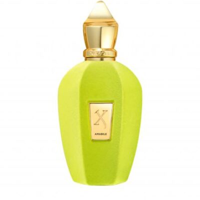 Xerjoff Amabile Tester 3.4 Eau De Parfum Spray